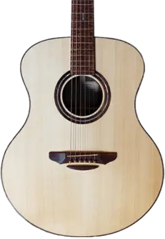 guitar shop acoustic